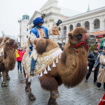 Głosuj na Tychy! – Orszak Trzech Króli