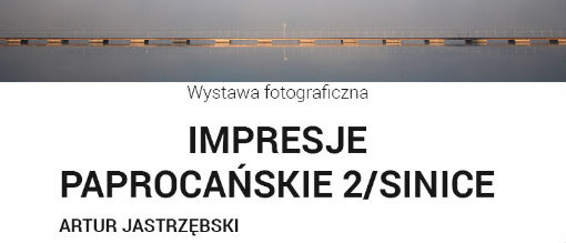 Impresje paprocańskie 2/Sinice